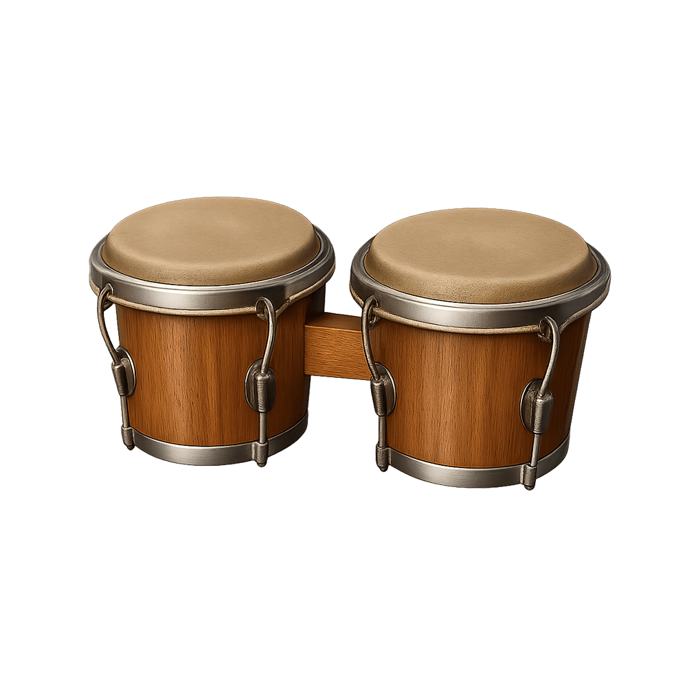 Bongos icon