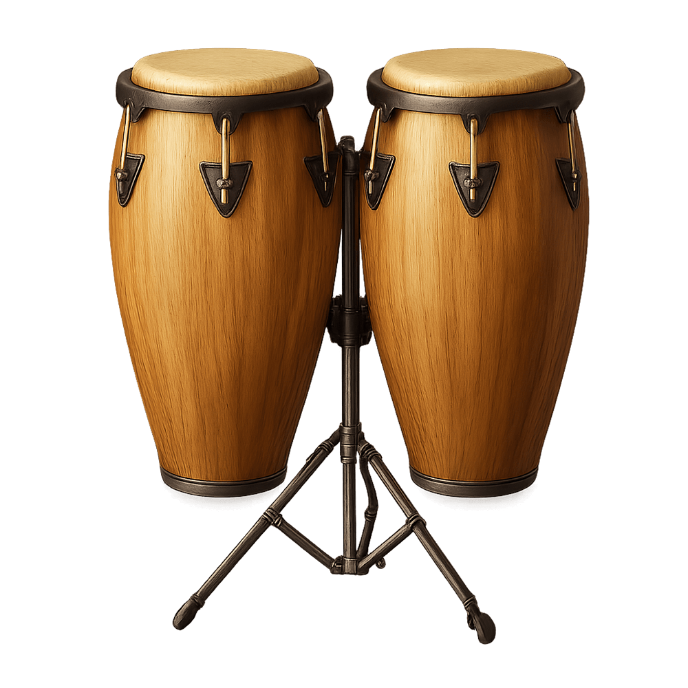 Congas icon