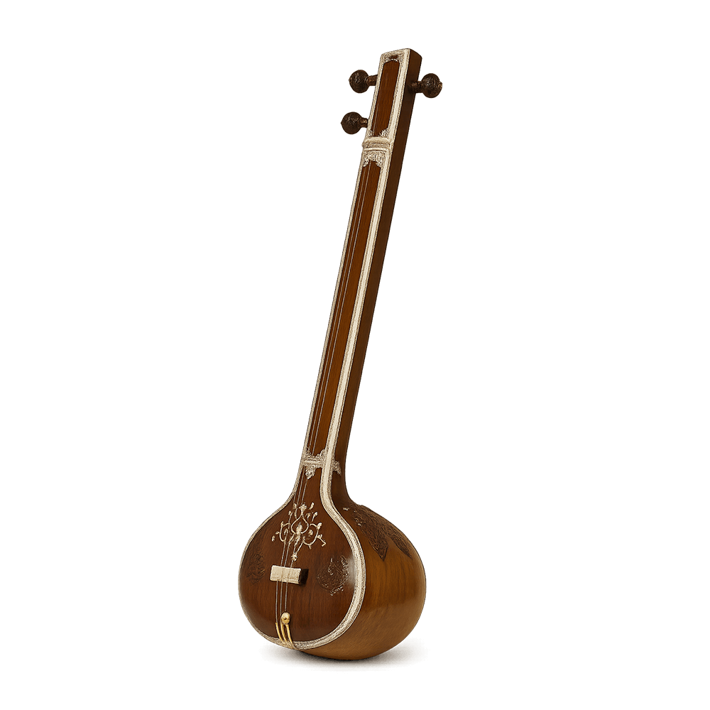 Tampura icon